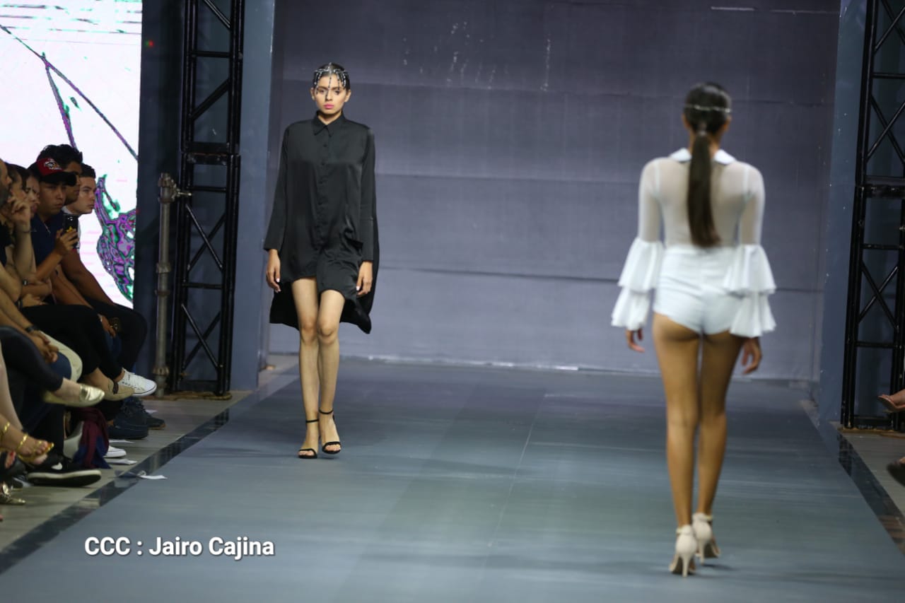 MODA1